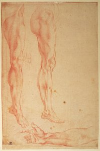 Bacaklar ve Kollar Çalışmaları (kağıt üzerinde kırmızı tebeşir) by Michelangelo Buonarroti