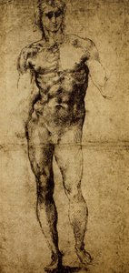 Çıplak bir erkek için çalışma, Michelangelo Buonarroti (1475-1564), çizim, Paris, Louvre Müzesi