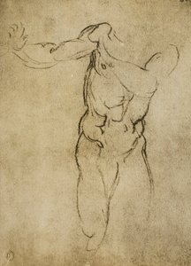 Michelangelo tarafından çizilen erkeksi bir büst için çalışma. Casa Buonarroti, Floransa by Michelangelo Buonarroti