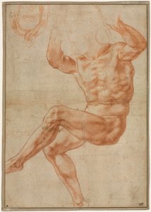 Çıplak Gençler için Danyal Peygamber Üzerine Çalışma (recto) by Michelangelo Buonarroti