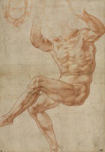 Sistine Tavanı için Danyal Peygamber Üzerinden Çıplak Gençler İçin Çalışma, 1510-11