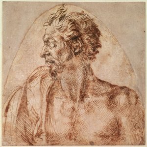 Baş ve Omuz Çalışması (kağıt üzerine mürekkep) by Michelangelo Buonarroti