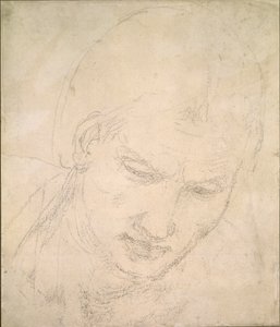 Bir Kafa Çalışması, c1490-1560 by Michelangelo Buonarroti