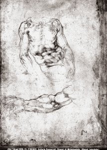 Bir erkek gövde ve kol çalışması by Michelangelo Buonarroti