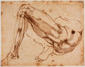  by Michelangelo Buonarroti