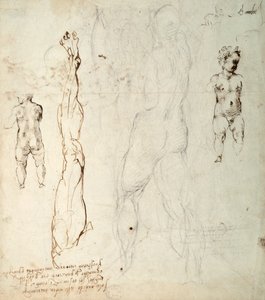 İsa Çocuğunun Çalışması ve Notlarla Bir Anatomik Çizim (kağıt üzerine siyah tebeşir ve kahverengi mürekkep) (ters) by Michelangelo Buonarroti