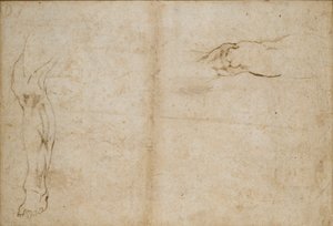 Verso: Bir Adamın Bacağı Çalışmaları, c1490-1560 by Michelangelo Buonarroti