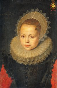 Corvina Hezenbroek van Hofdijck