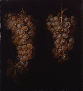 üzüm salkımı by Miguel de Pret
