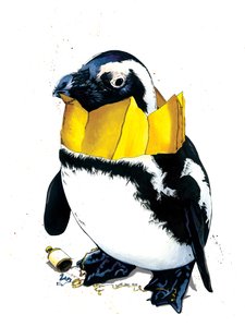 Beyaz Üzerine Noel Pengueni, 2020 by Mike Davis