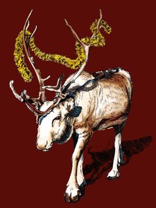 Red Oxide Noel Ren Geyiği, 2020 by Mike Davis