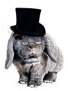Beyaz Üzerine Humbug Bunny, 2020 by Mike Davis