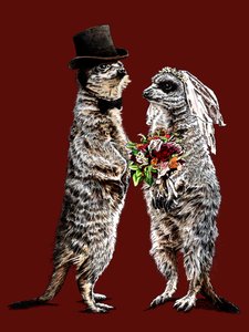 Red Oxide'de Evli Meerkats, 2020 by Mike Davis