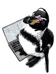 Beyaz Üzerine Yeni İş Penguen, 2020