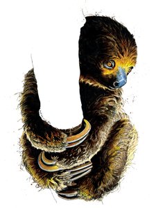Beyaz Üzerine Tembel Talita, 2019 by Mike Davis