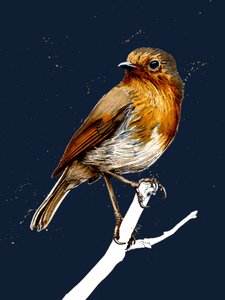 Gece Mavisi'ndeki Robin, 2020 by Mike Davis