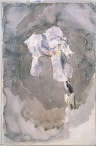 beyaz iris by Mikhail Aleksandrovich Vrubel
