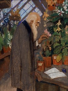 ""Langdon-Aşağı seradaki bitkileri inceleyen bilim adamı Charles Robert Darwin