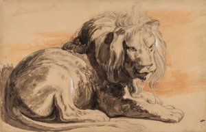 Rubens Lion, c.1840 (kahverengi kağıda tebeşir, tuvalet ve guaj)