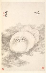 Kedi ve Kelebek, 1788.