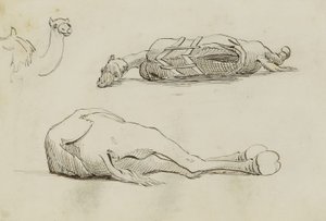  by Miner Kilbourne Kellogg