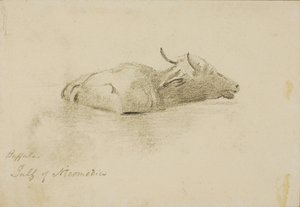  by Miner Kilbourne Kellogg