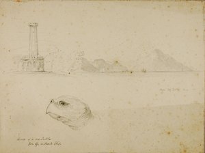 by Miner Kilbourne Kellogg