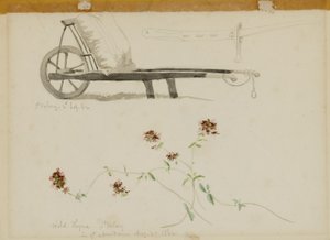  by Miner Kilbourne Kellogg