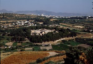 Minos sanatı: Cnossos