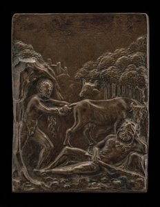 Cacus