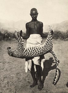 Building an Empire in the Fascist age: indigene displaying a leopard, 09/05/1936 (b/w photo) by Modestino Baldinetti