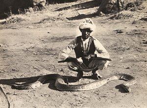 Faşist çağda 