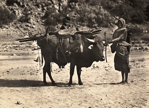 Faşist çağda 