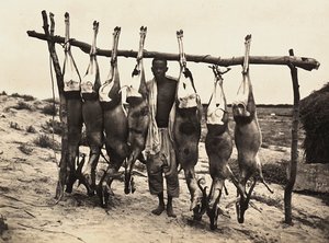 Faşist çağda 