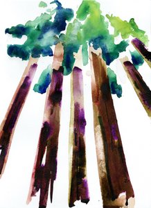 Sequoia, 2021 (Langton, 300 gsm soğuk baskı kağıt üzerine suluboya)