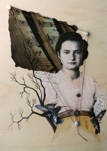Yaşam beşiği
