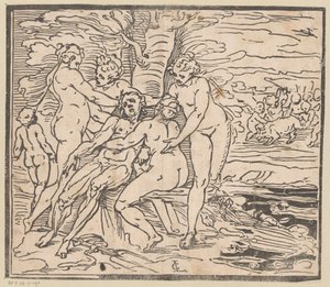 Venüs, Adonis