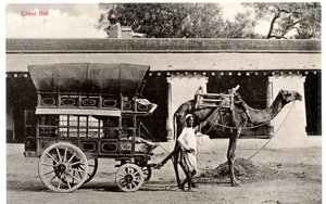 Camel Dak, c.1911-12 (sepya fotoğrafı) by Moorli Dhur and Sons
