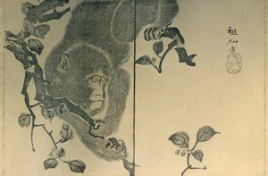 Maymun, 1815, 1924.