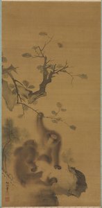 Kaya Çıkıntısındaki Maymunlar by Mori Sosen