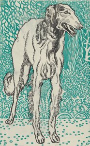Tazı, 1912. by Moritz Jung