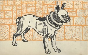 Pitbull Teriyeri, 1912.