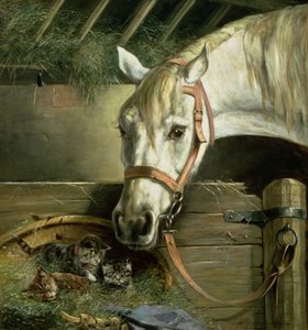 At ve yavru kedi, 1890 by Moritz Muller