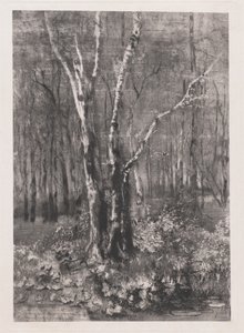 Monza yakınlarındaki Parktaki Ormanlar by Mose Bianchi