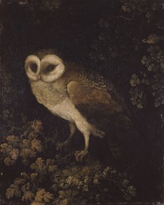 Bir Baykuş, 1780-1790.