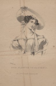 Cambria'nın Çiçeği, litho, CG Childs, 1830