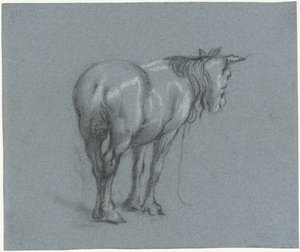 Bir atın arkadan sağa doğru incelenmesi Ayakta duran beygirler (seri başlığı) by Moses Ter Borch