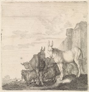 Bir duvarın yanında eşekler Dört ayaklı hayvanlar (dizi adı) by Moyses van Wtenbrouck