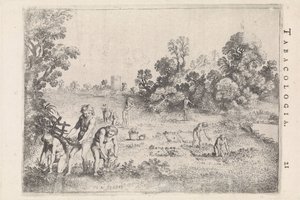 Yerli Amerikalılar tütün topluyor by Moyses van Wtenbrouck