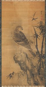 Bir kayanın üzerinde şahin by Mu Zhang